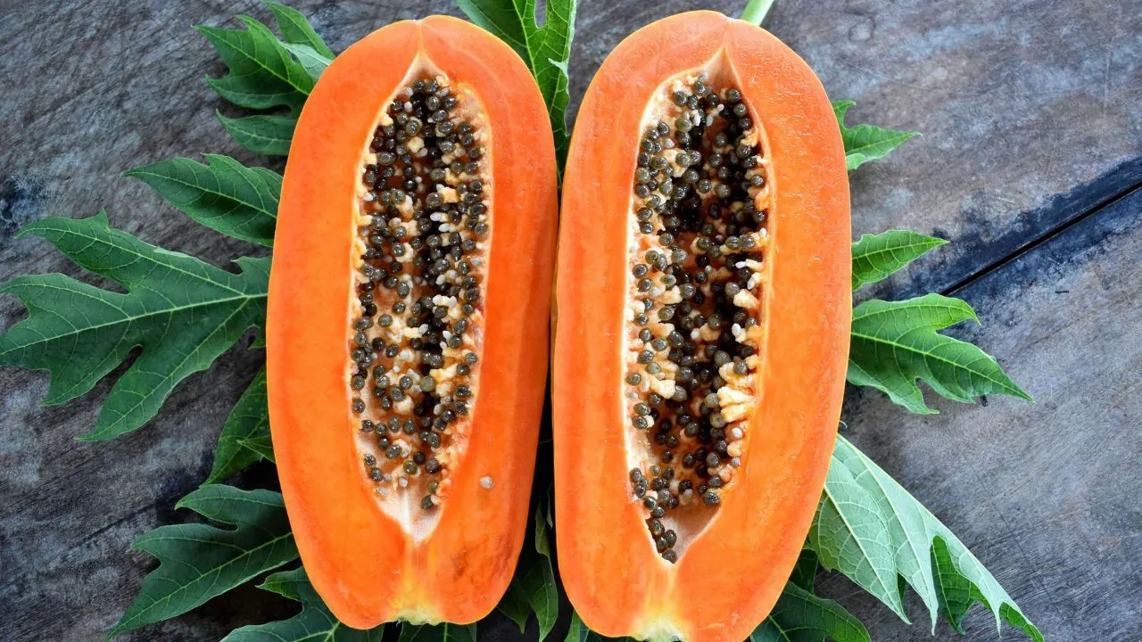 Amazing Health Benefits of Papaya(Papita) and How to eat?