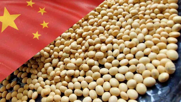 China's Bold Move: Purchasing 180,000 Tons of US Soybeans Ahead of Trump-Xi Summit – What It Means for Global Ag Trade